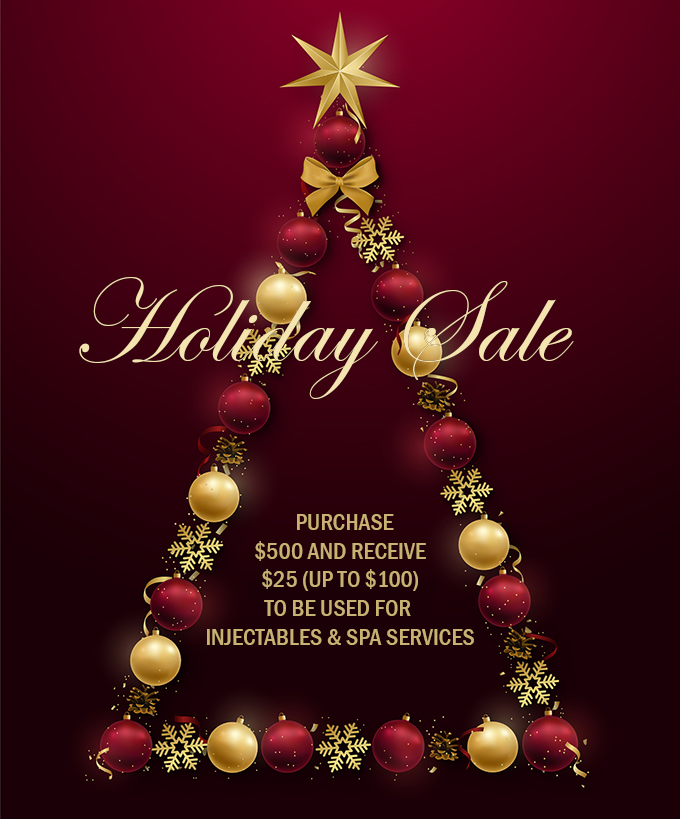 Holiday Sale 